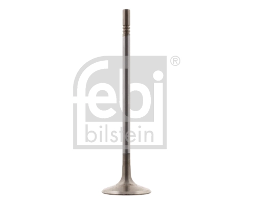 Intake Valve